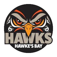 泰莱之鹰